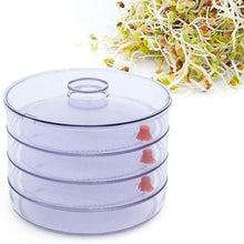 070 Plastic 4 Compartment Sprout Maker, White Shopistore