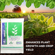 1284 Organic Bio Fungicide for Seeds and Young Plants (1 Kg) 