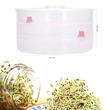 093 Plastic 3 Compartment Sprout Maker, White shopistore