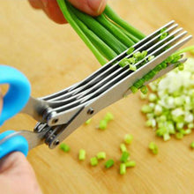 1651 MULTIFUNCTION VEGETABLE STAINLESS STEEL HERBS SCISSOR WITH 5 BLADES